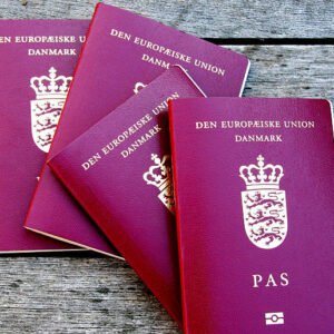 Dänischen Reisepass kaufen